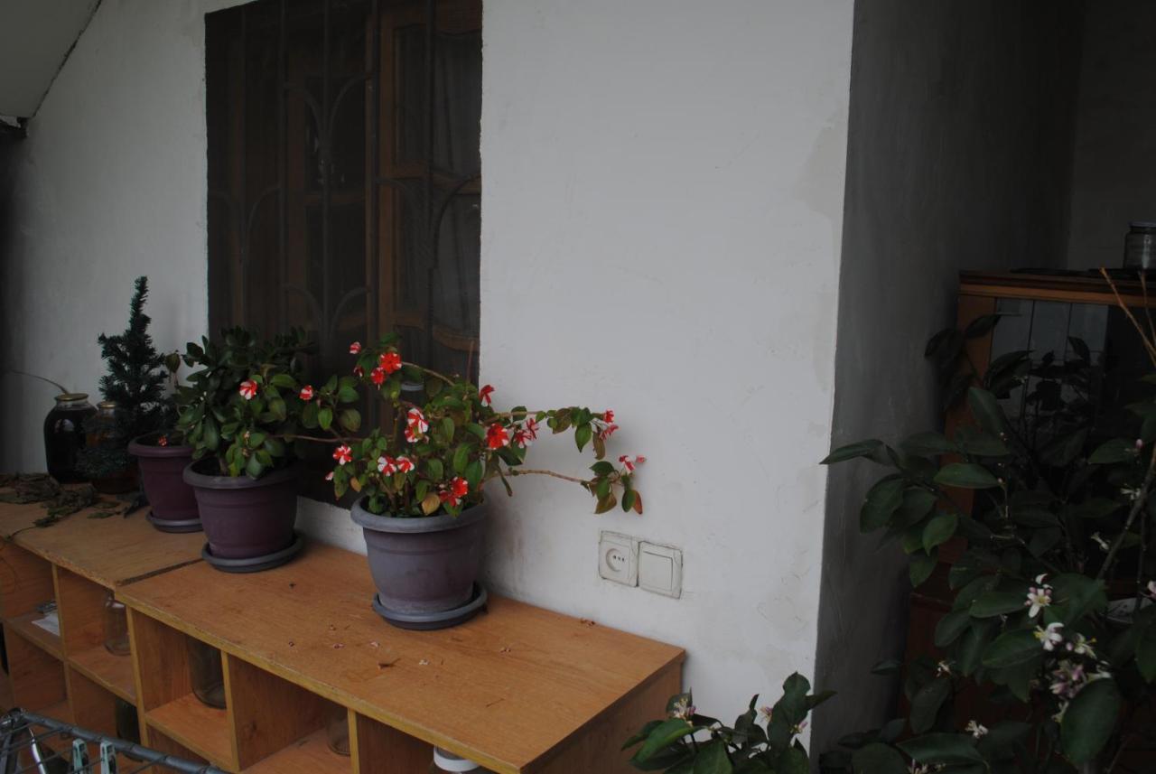 Family Guesthouse - Macharashvili Tbilisi Exterior photo